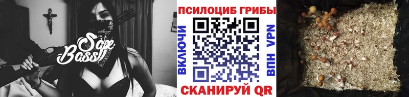 Купить где  Майский  Псилоцибиновые грибы MAGIC MUSHROOMS 